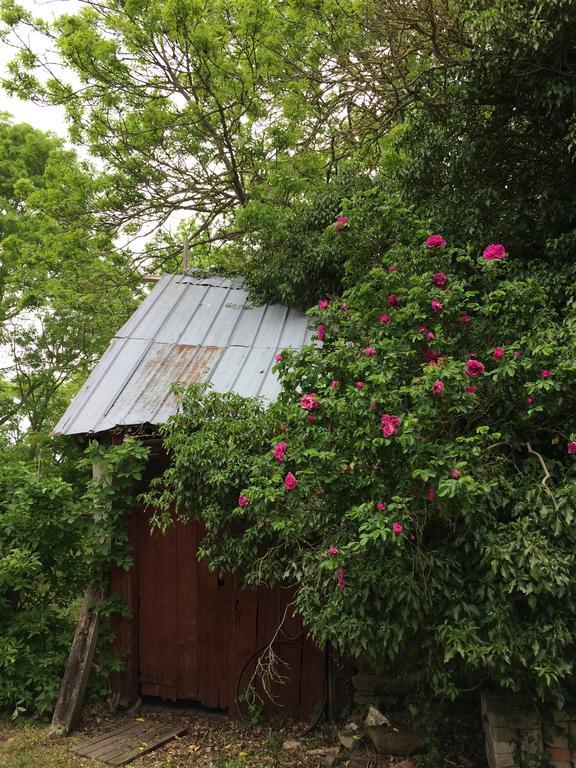 Holiday home Paradiset Oestra Oeland